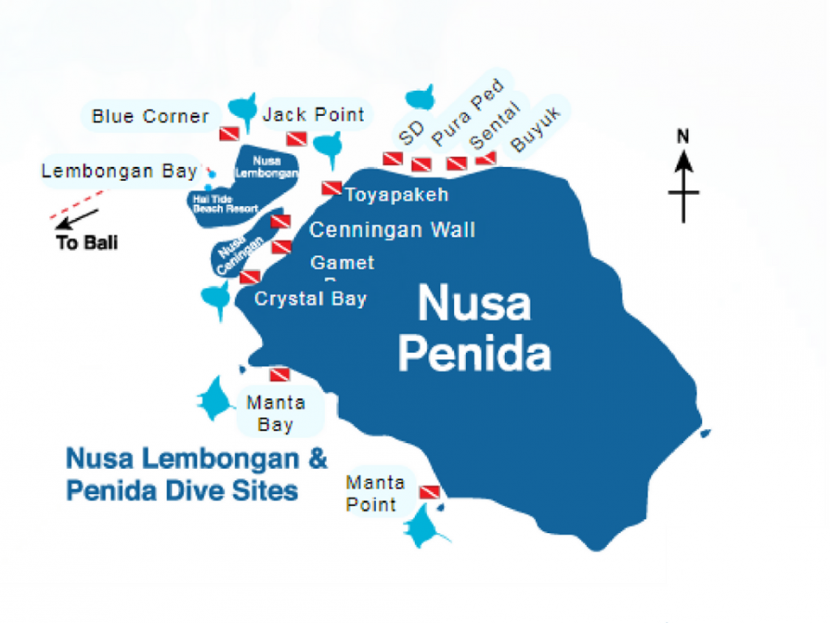 Reservation Nusa Penida Dive